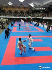 Budokan de Tokio