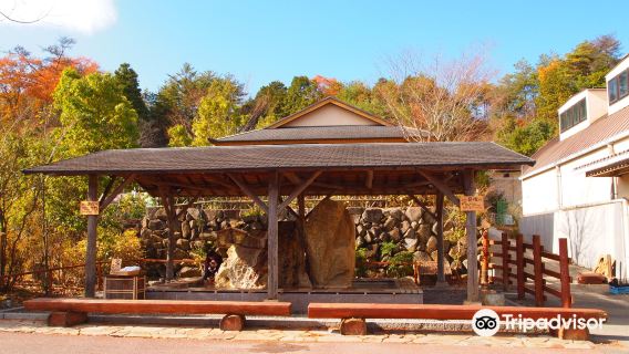 Iganosato Mokumoku Tedukuri farm