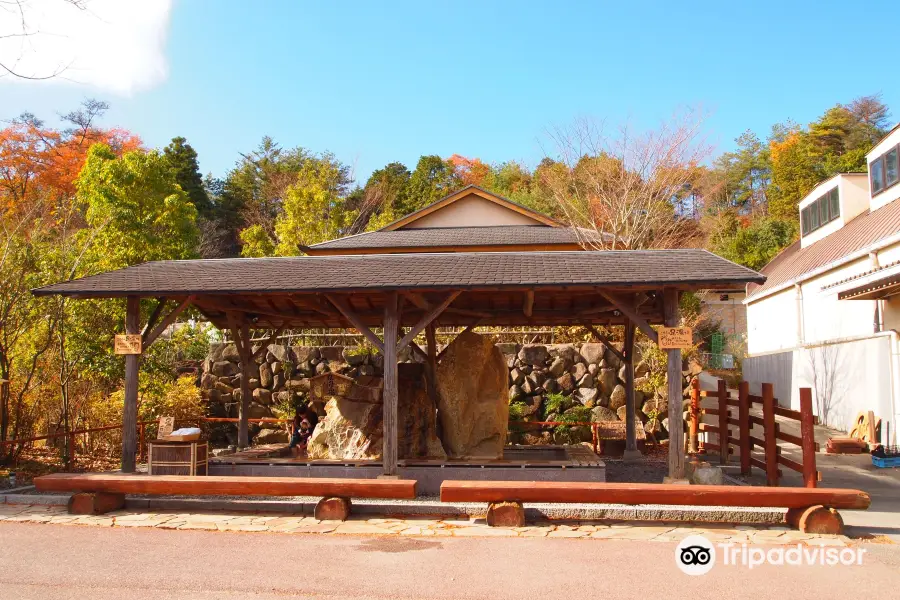 Iganosato Mokumoku Tedukuri farm