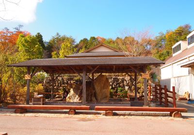 Iganosato Mokumoku Tedukuri farm