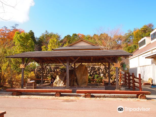 Iganosato Mokumoku Tedukuri farm