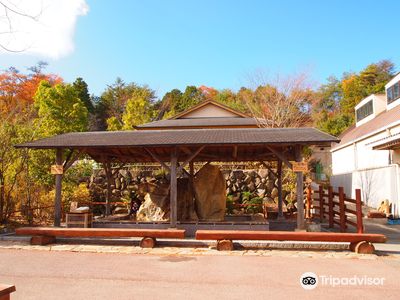 Iganosato Mokumoku Tedukuri farm