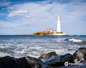 香港-惠特利灣 機票酒店 自由行