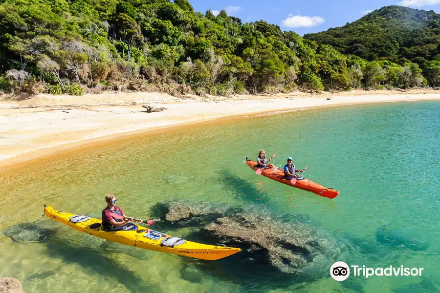 Marahau Sea Kayaks