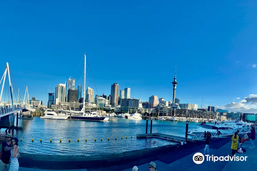 Wynyard Quarter