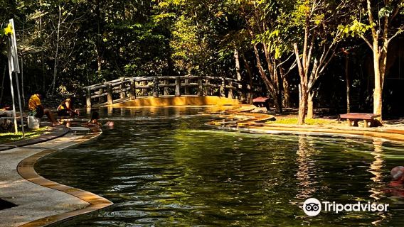 Saline Hot Spring Khlong Thom