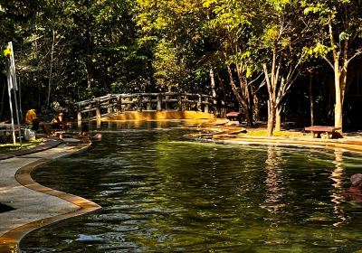 Saline Hot Spring Khlong Thom