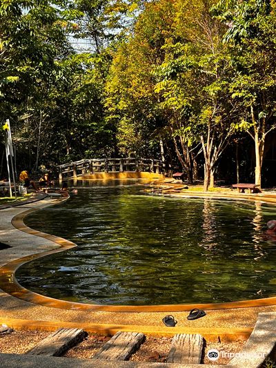 Saline Hot Spring Khlong Thom