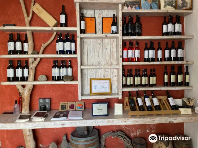 Liquor Culture Experiences in Santorini