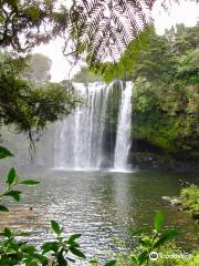 Kerikeri River walking track