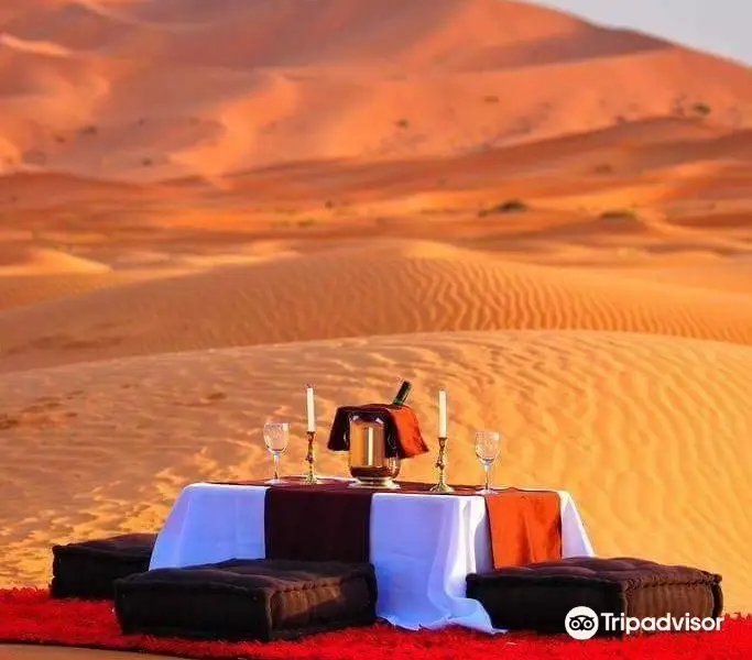 Desert Camel Tours Morocco