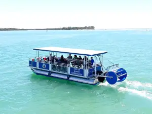 Marco Pedal Boat