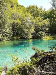 Ichetucknee Springs State Park