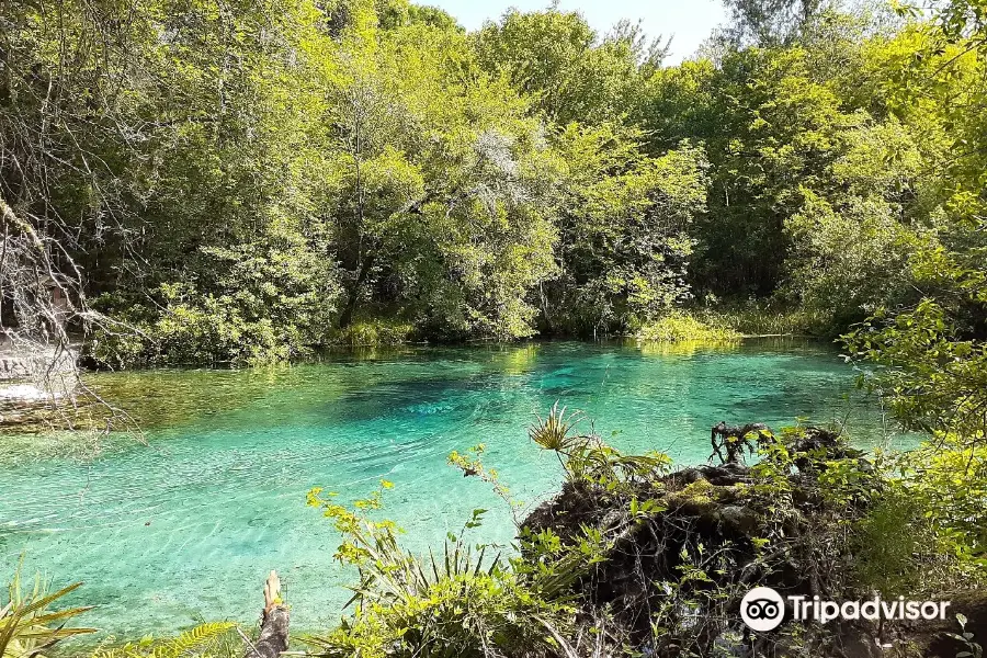 Ichetucknee Springs State Park