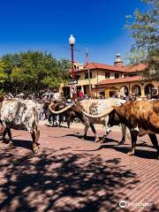 Fort Worth Herd