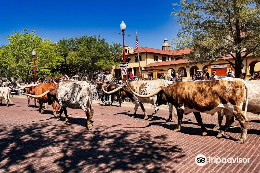 Fort Worth Herd