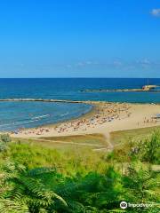 Constanta Beach