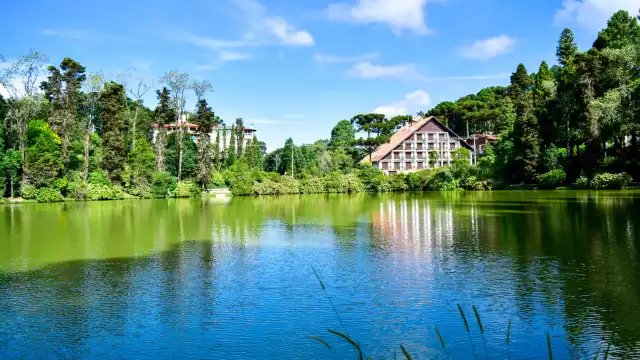 鄰近Black Lake的酒店