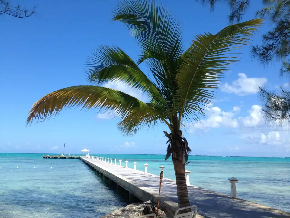 5_Rum Point