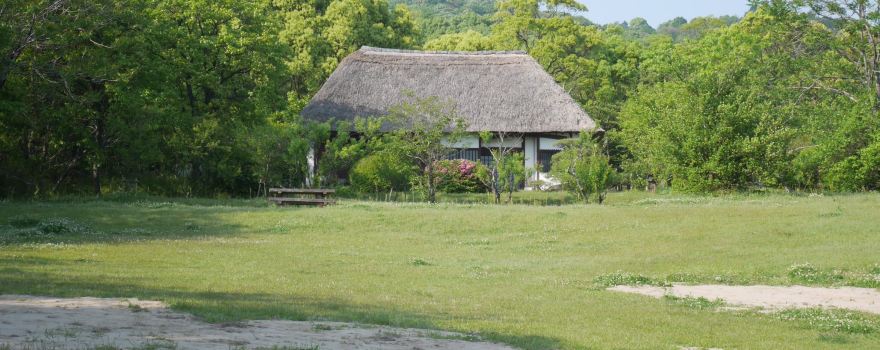 Kinryu Park