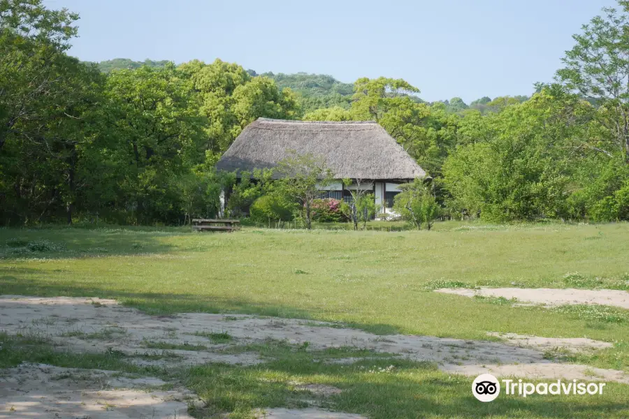 金立公園-金立山いこいの広場