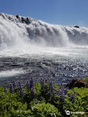 Faxi (Vatnsleysufoss) Waterfall