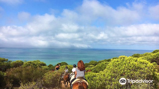 Hipica Doñana the Pasodoble