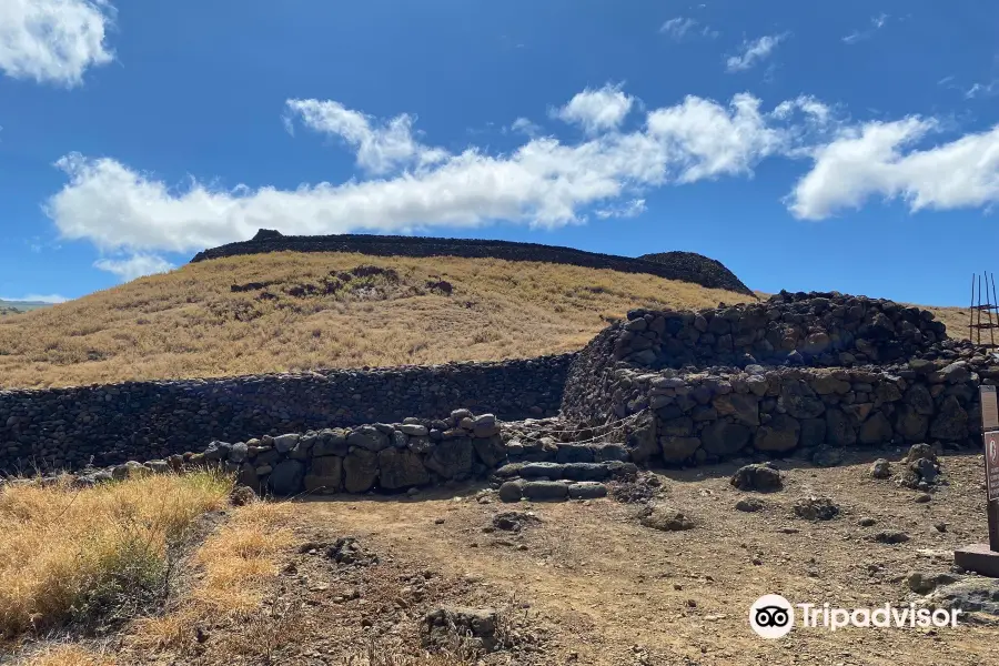 Pu'ukohola Heiau National Historic Site