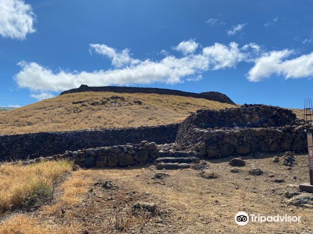 Puʻukoholā Heiau National Historic Site