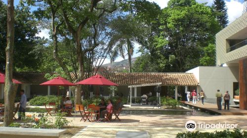 Jardin Botanico Medellin