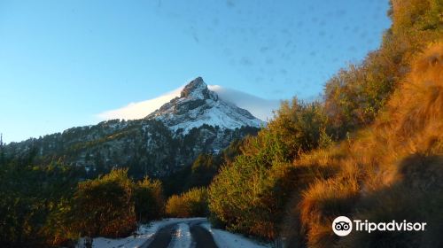 Parque Nacional Nevado de Colima