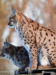 parco zoologico di Fort-Mardyck Dunkerque Grand Littoral