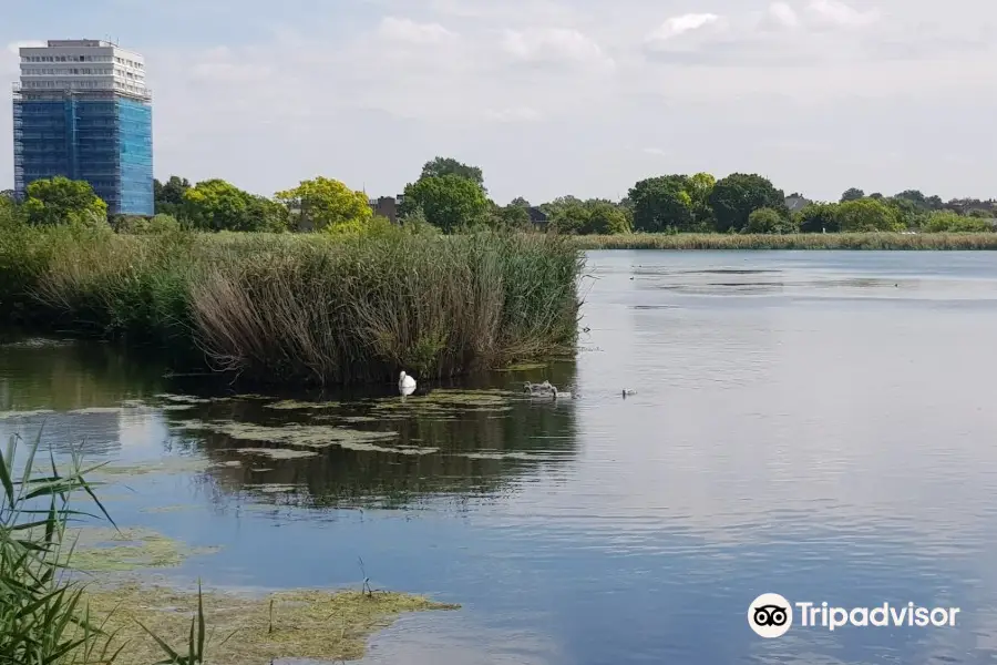 Woodberry Wetlands, London Wildlife Trust