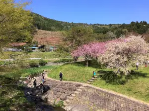 Mitakidofureai Park