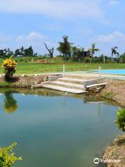 Sabeto Hot Springs and Mud Pool