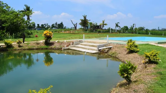 Sabeto Hot Springs and Mud Pool