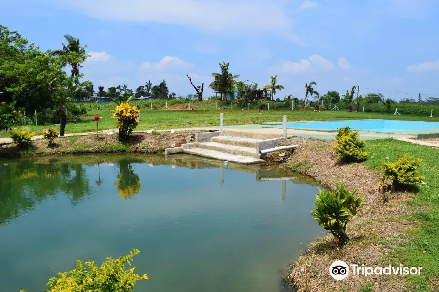 Sabeto Hot Springs and Mud Pool