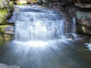 Moss Rock Preserve