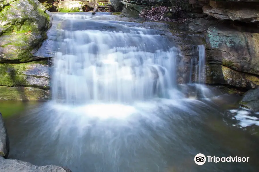 Moss Rock Preserve