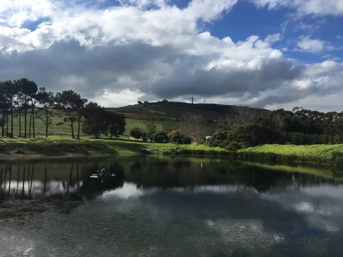 Hotels near Nitida Wine Farm