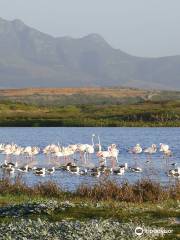 Strandfontein Beach