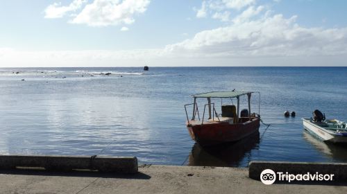 Wreck of the Matai