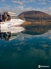 Queenstown Fishing