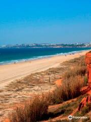 Tourist Office Point Algarve Vilamoura