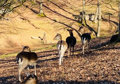 Nordpark Wuppertal