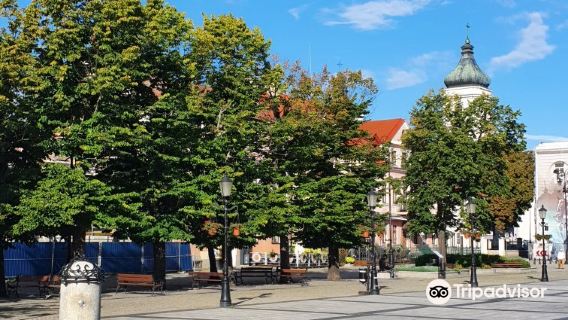 Stary Rynek w Płocku