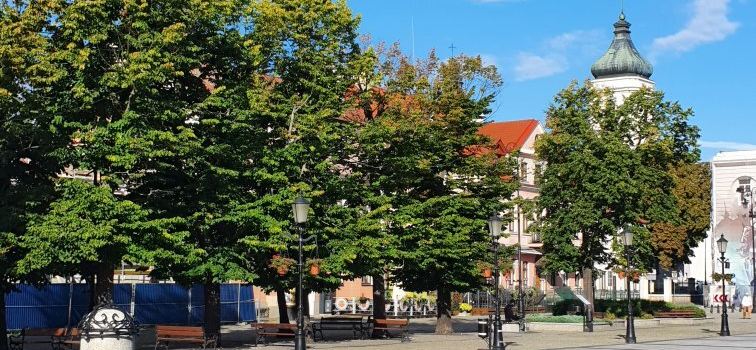 Stary Rynek w Płocku
