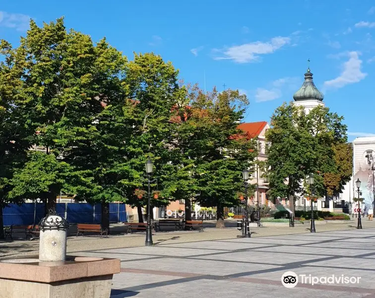 Stary Rynek w Płocku