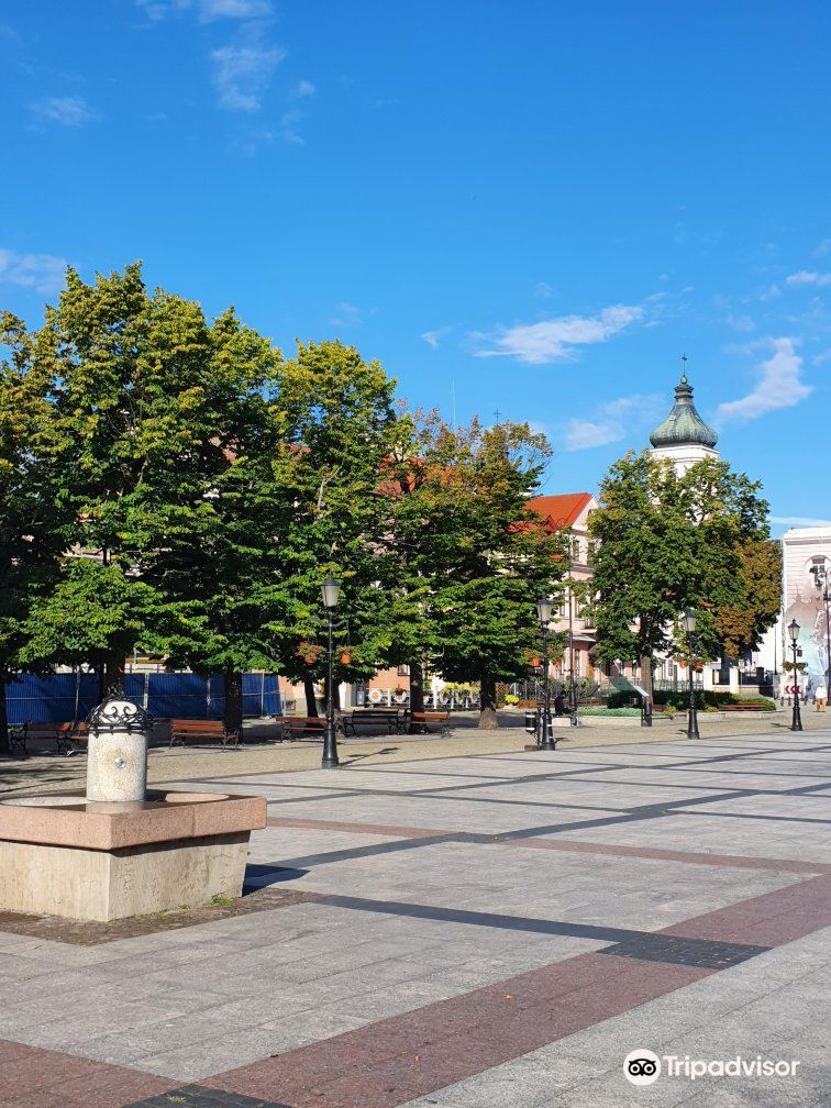 Stary Rynek w Płocku