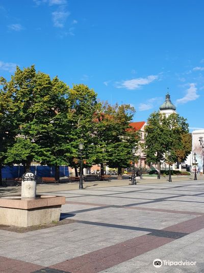 Stary Rynek w Płocku